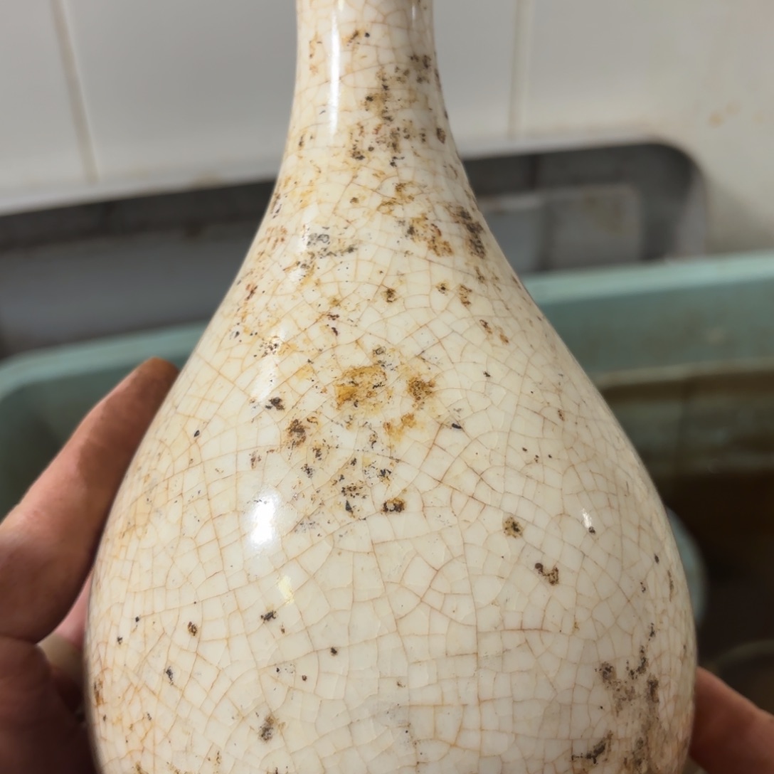 【闪购商品】杯风**月器型美观实用美观