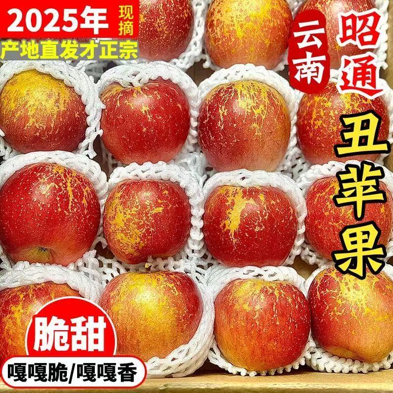 【东三省专属】加保温袋发货 正宗昭通丑苹果脆甜多汁5/8斤