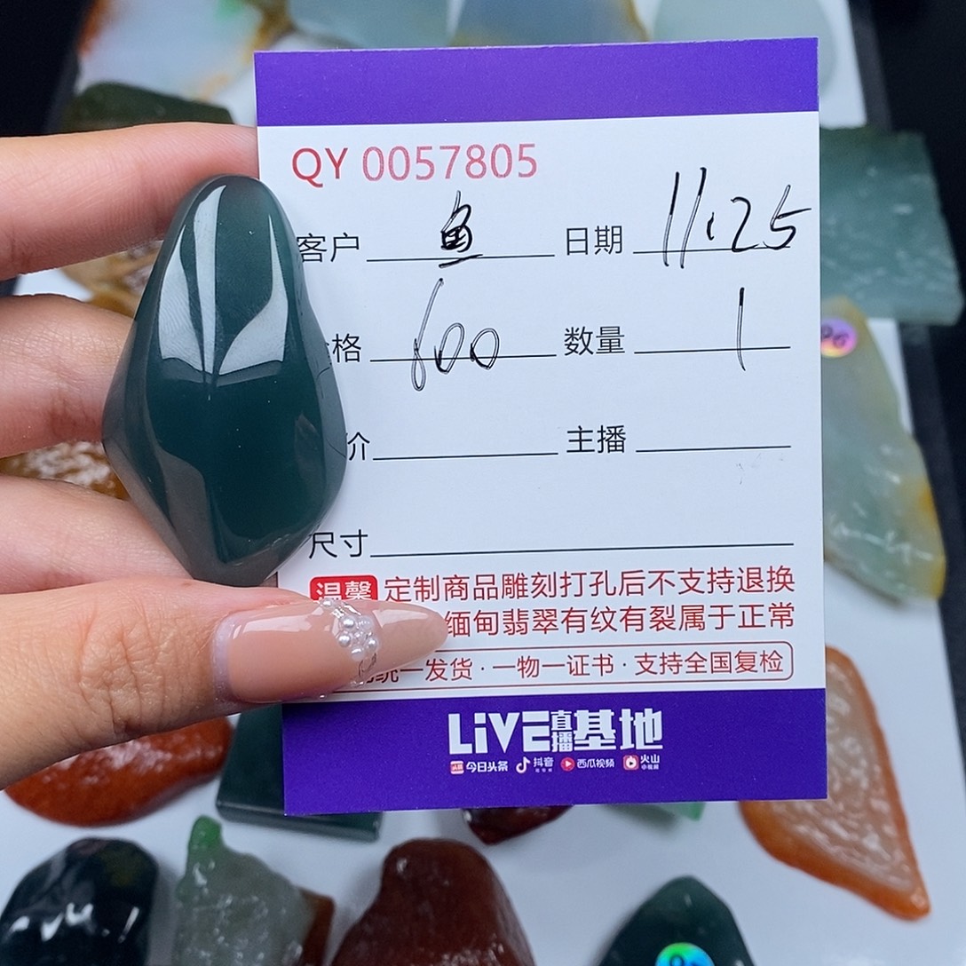 鱼***飞翡翠未镶嵌颈饰翡翠