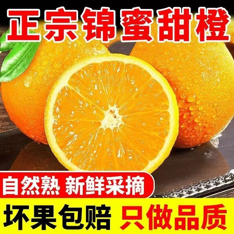 正宗麻阳锦蜜冰糖橙纯甜无酸柑橘现摘现发（爆甜多汁）薄皮水果橙子
