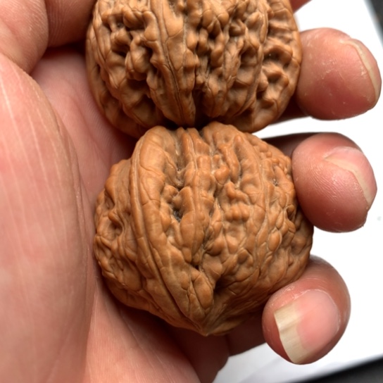 吊坠文玩核桃?****?我的