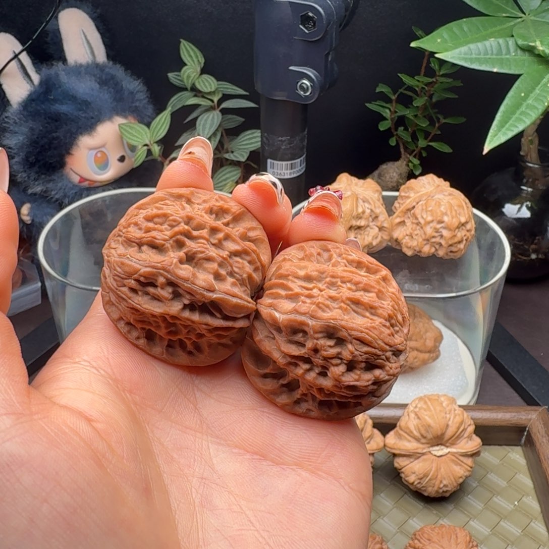 把件龙脊菩提全品血磨39