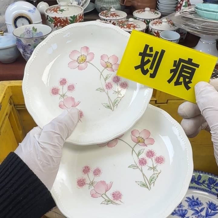 陶他家瓷器真美…开播了