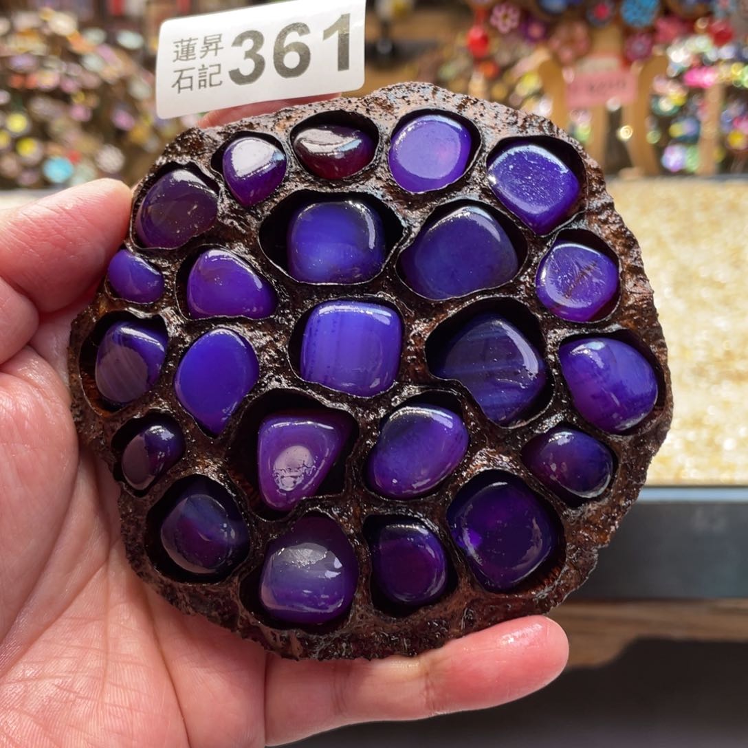 核桃木/黑胡桃（胡桃木）361