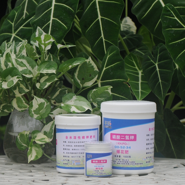 磷酸二氢钾抗病细菌促花肥磷酸二氢钾花肥