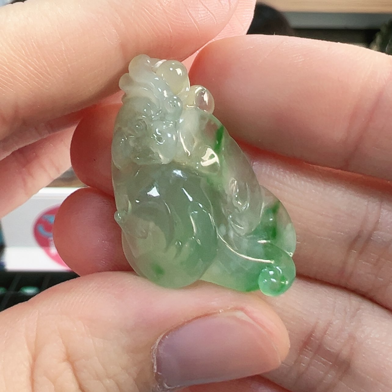 【闪购商品】翡翠颈饰未镶嵌