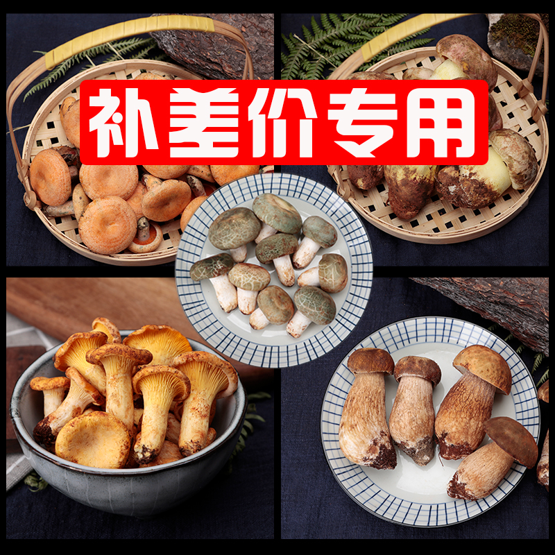 云南新鲜野生菌补价专用500g1000g