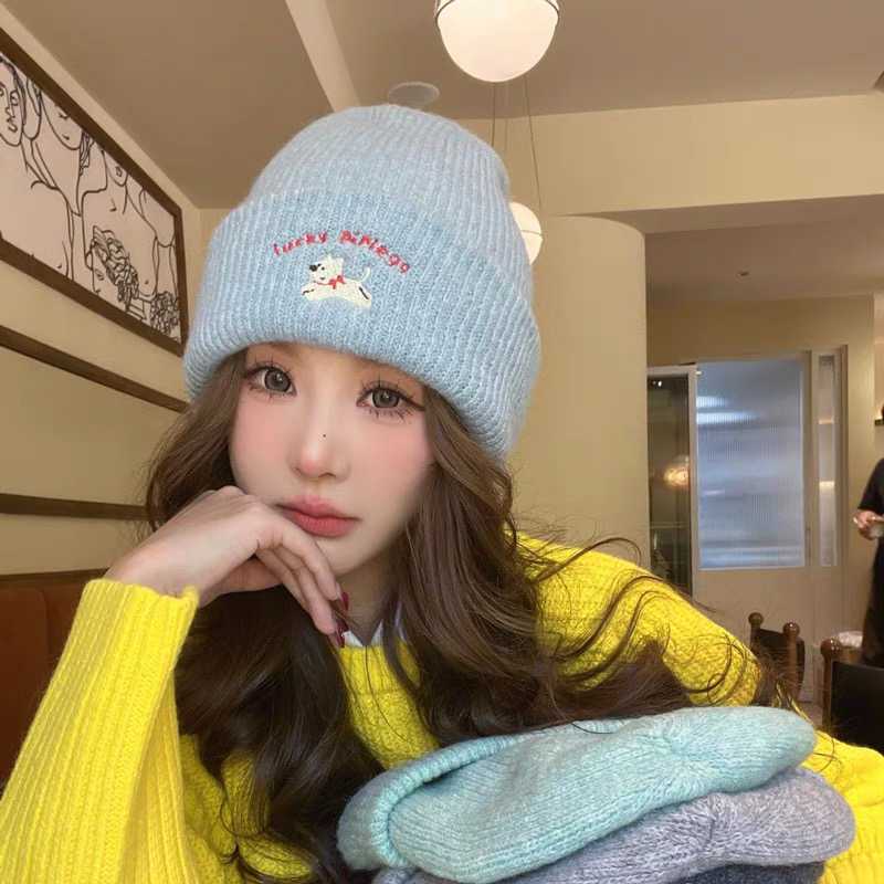 055韩版可爱刺绣针织毛线帽女加厚保暖显脸小包头帽
