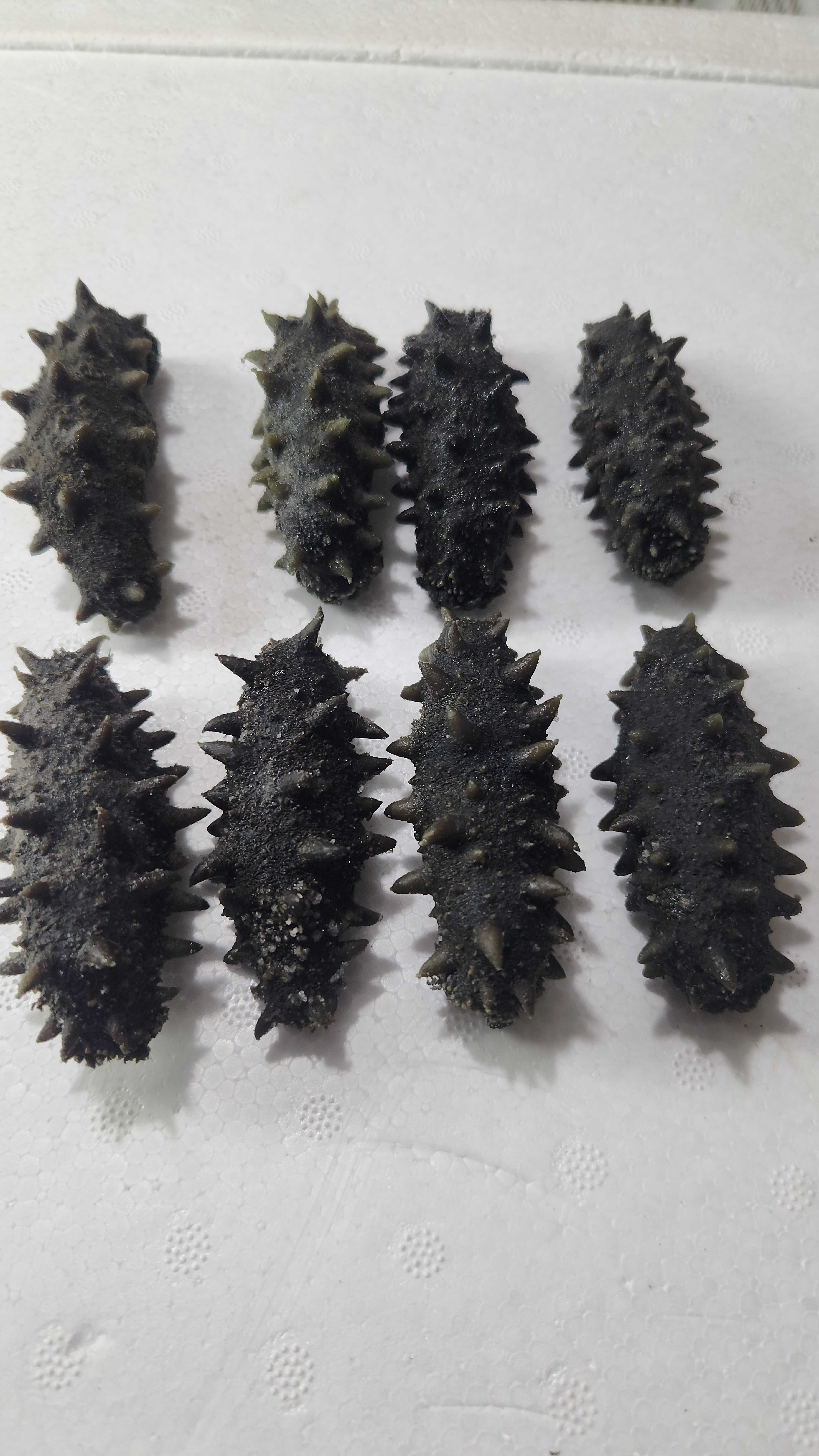 深水顶火半干海参