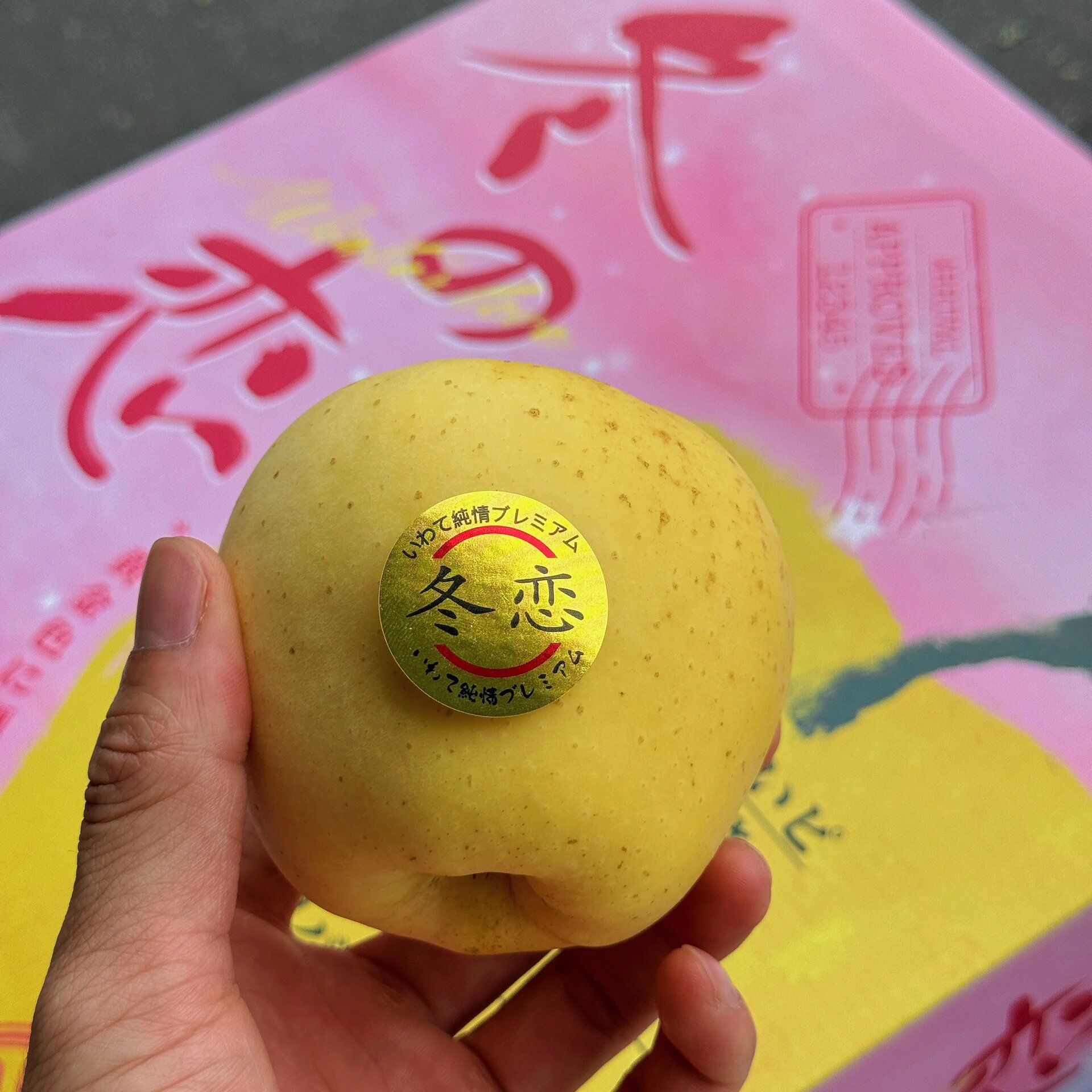 【老沙严选】粉冬恋维纳斯苹果 礼盒装4斤左右