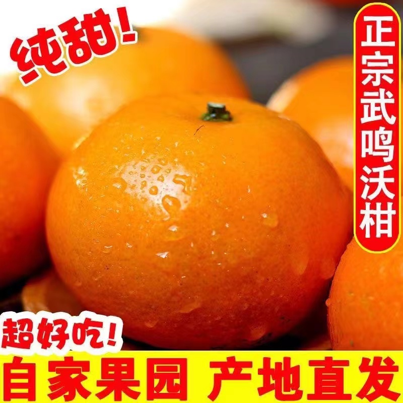 正宗广西武鸣沃柑新鲜水果当季整箱成熟香甜皮薄脆嫩采摘多汁产品