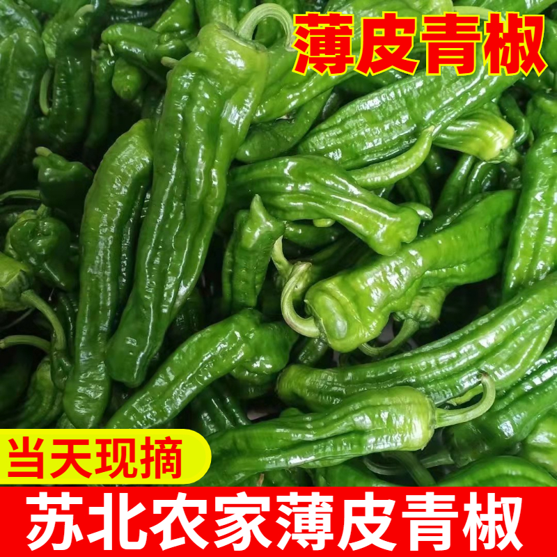 苏北农家自种新鲜虎皮薄皮青辣椒青椒菜椒牛角椒时令蔬菜1-5斤