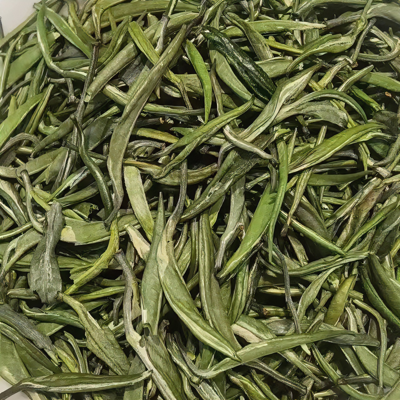 云南绿茶 2025年头春单芽青针绿茶 250克 500克罐装