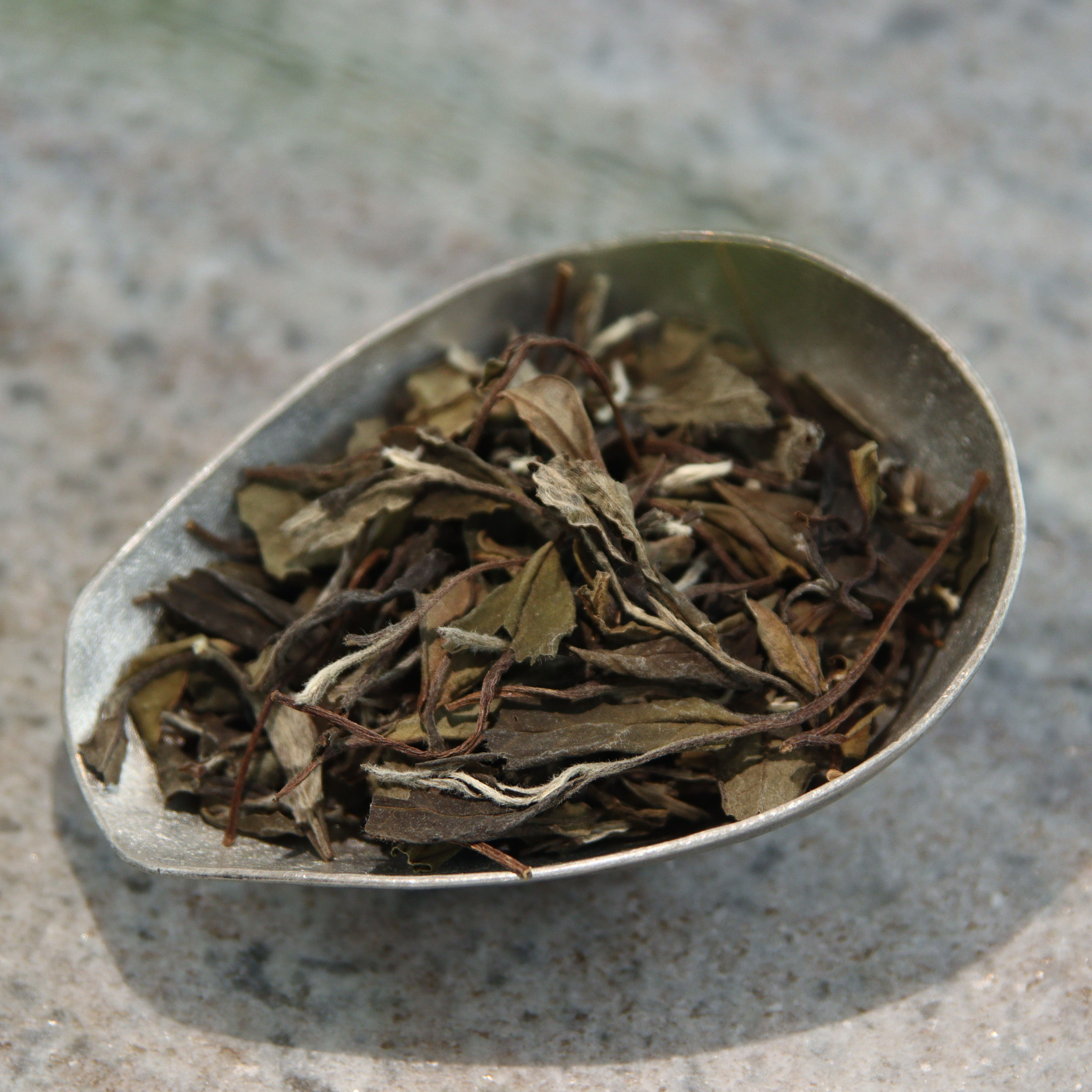 【制茶大师蔡佳亮】2016年炭焙春寿眉散茶