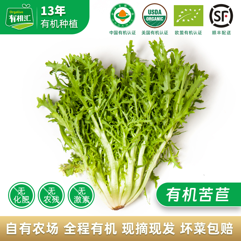 有机汇苦苣新鲜有机蔬菜配送苦菊榨汁食疗健身餐沙拉500g