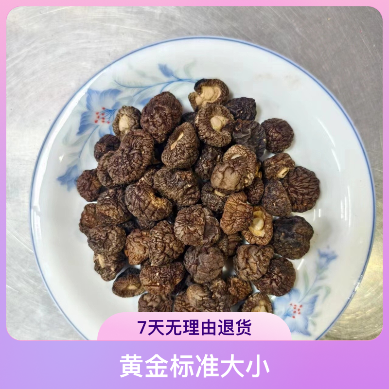 木材生长的金钱菇，黑面。优选（精品冬菇，黄金标准2.5cm大小）
