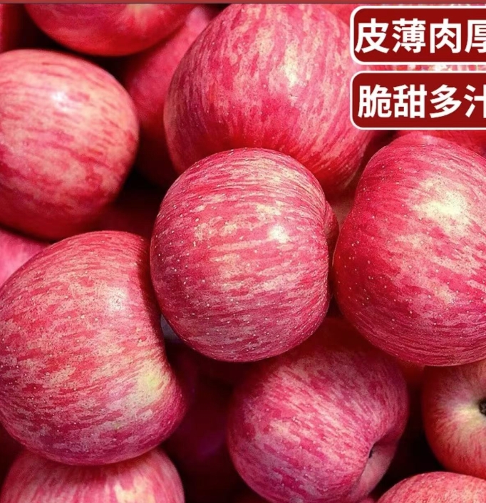 红富士新鲜大苹果