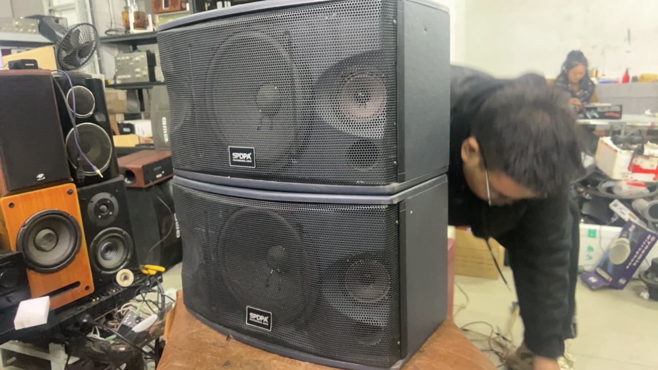 80新  十寸卡包音箱（二手商品看好再拍）（部分地区不支持）