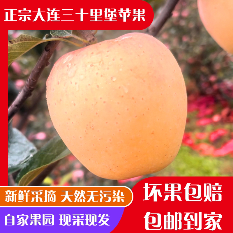 大连三十里堡森宝维纳斯黄金苹果