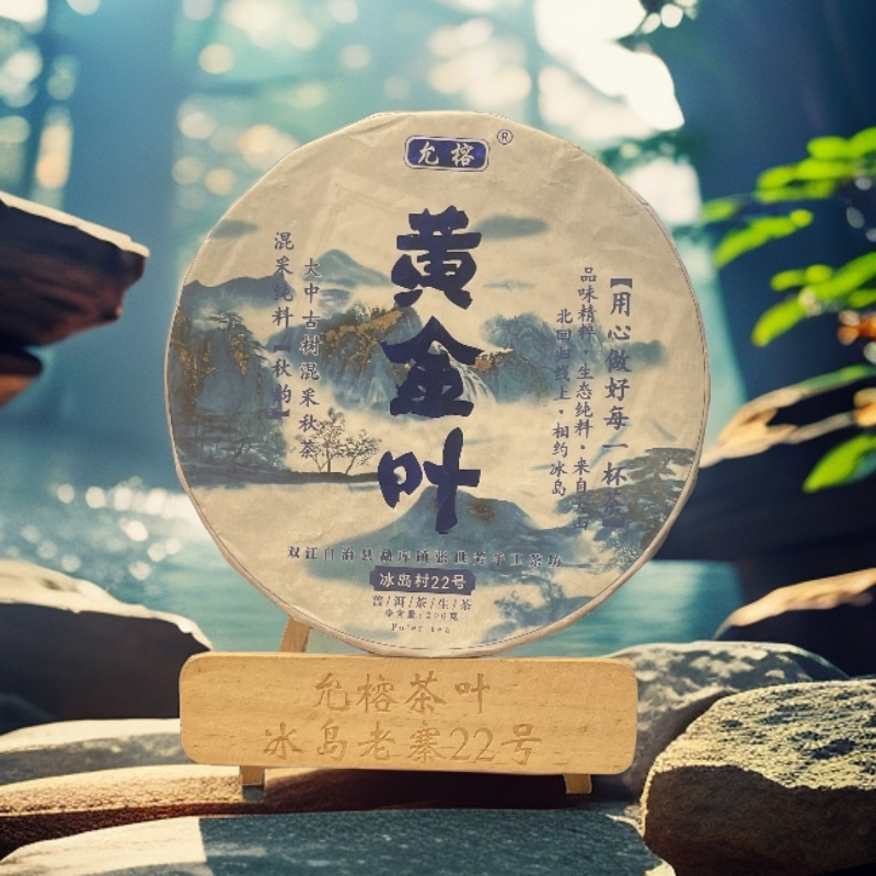 YUNRONG/允榕冰岛老寨2022年大中古树混采茶黄金叶200g 手撕饼