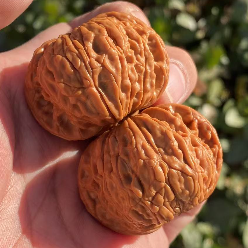 精品磨盘狮子头文玩核桃