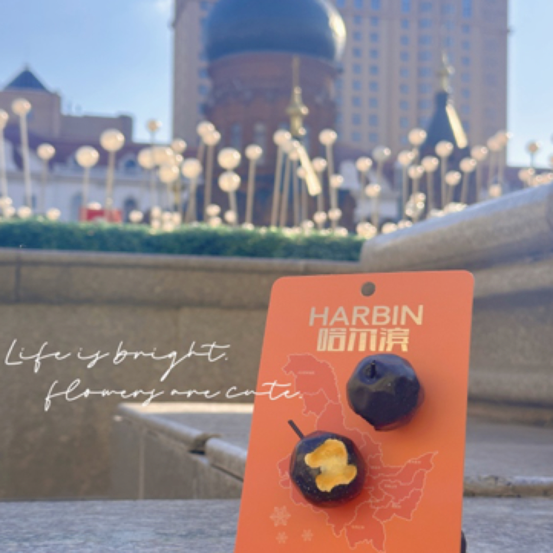 东北哈尔滨冰箱贴树脂