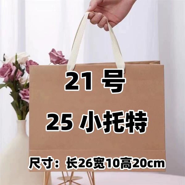 【21号】2023爆款单肩手提托特小包休闲肩包