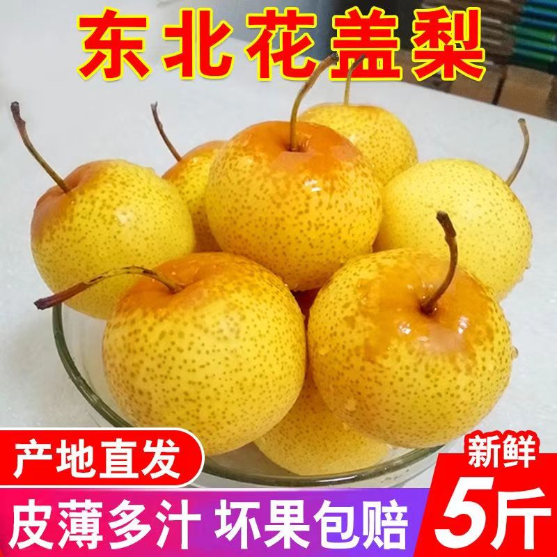 花盖梨5斤包邮软梨可做冻梨正宗东北鞍山特产秋子梨子孕妇新鲜