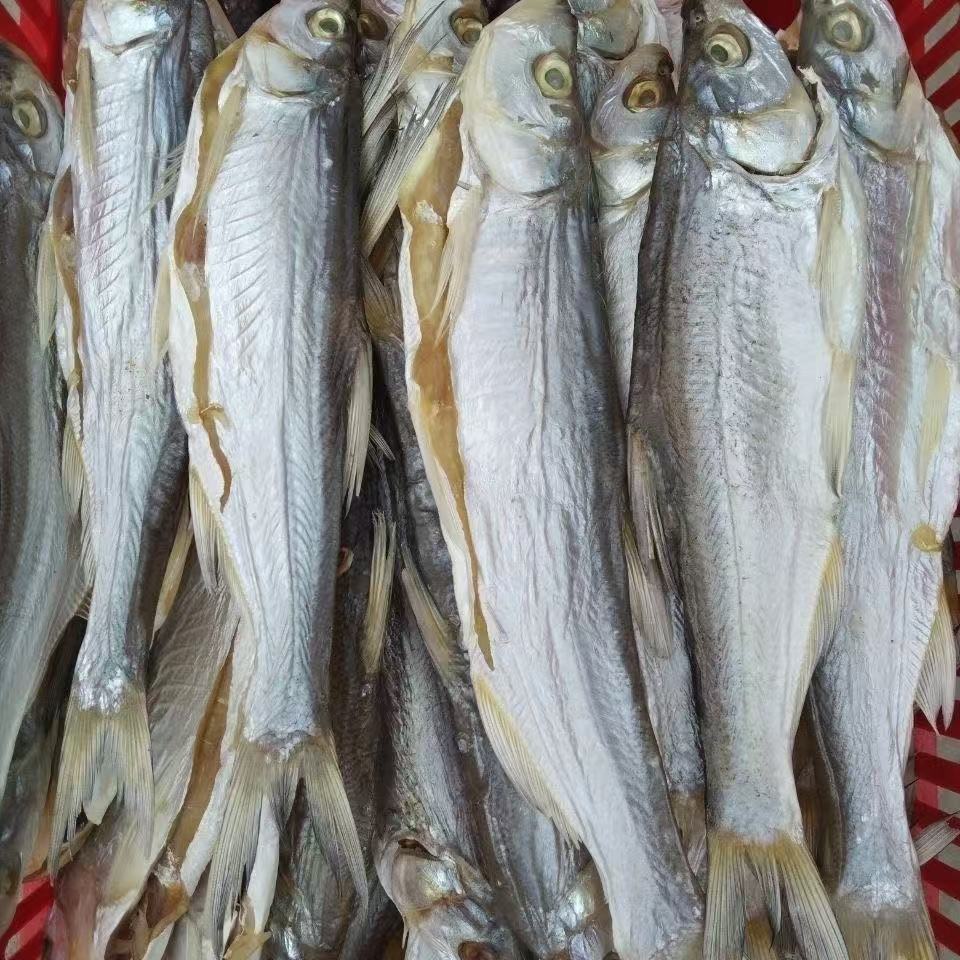 湖北洪湖小刁子鱼阳干鱼淡水小河鱼干鱼农家自晒翘嘴小干鱼