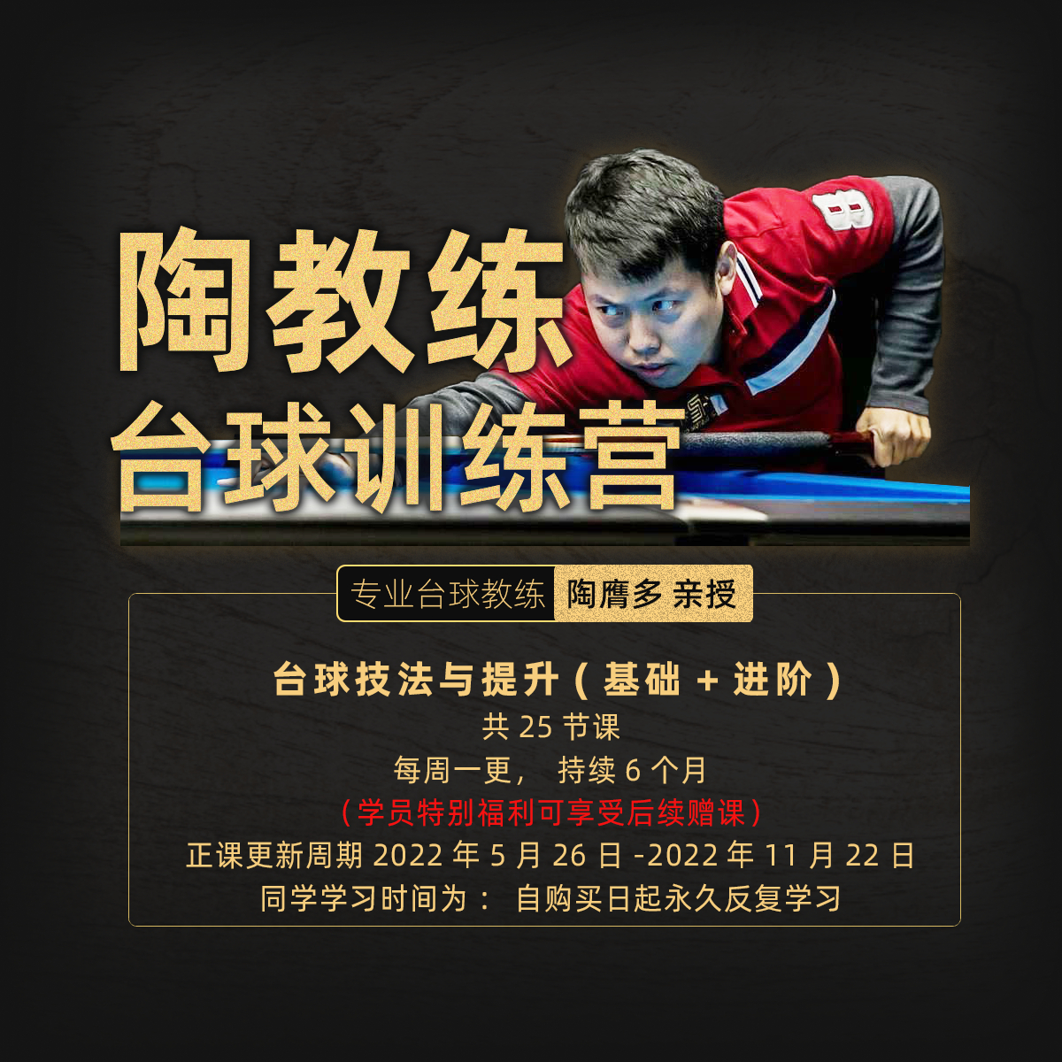 陶教练台球训练营