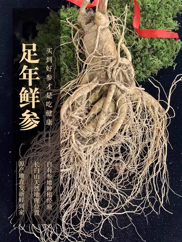 长白山大鲜人参单支300克泡酒送礼土豪款（清洗不支持退货）