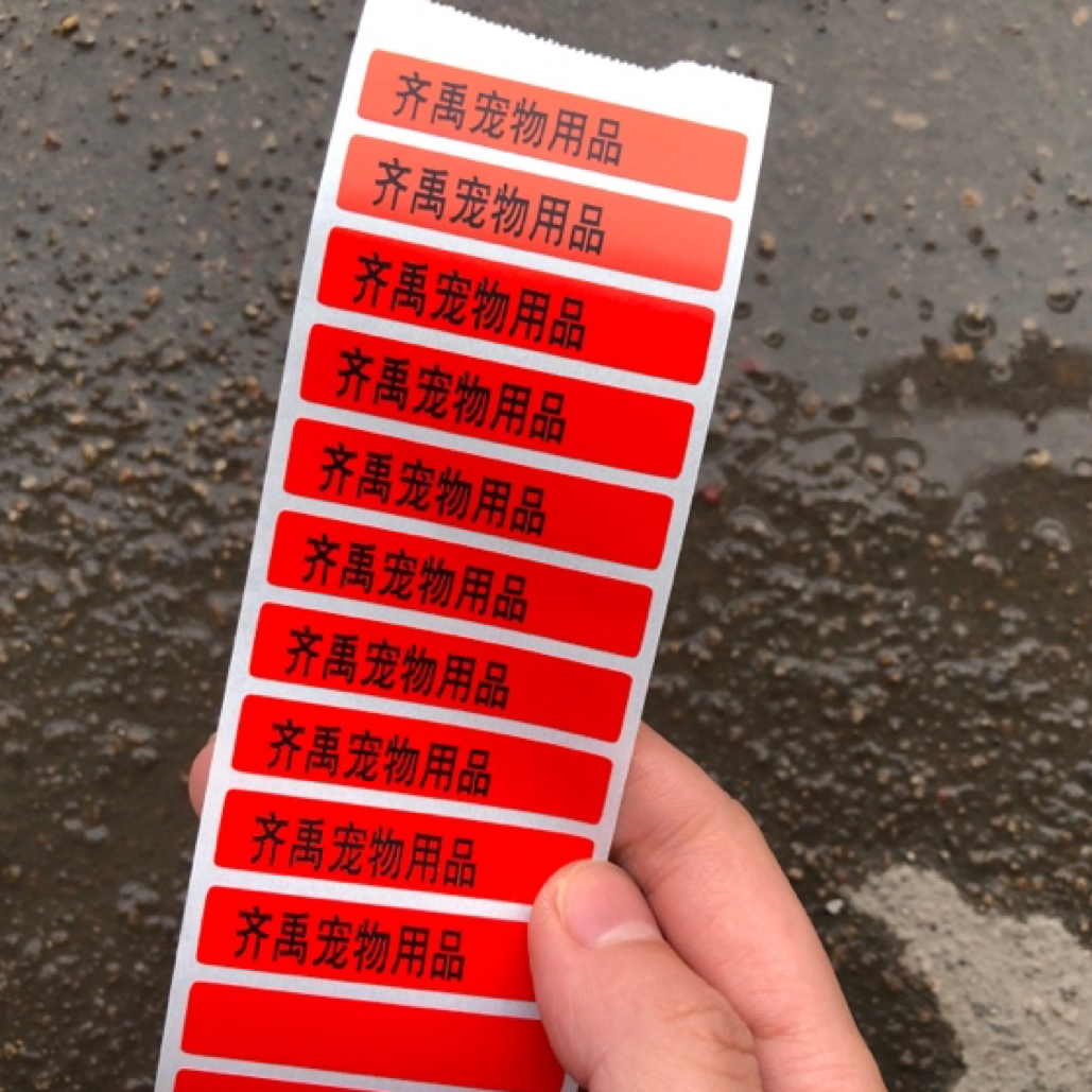 定制足环贴 鸽用足环贴