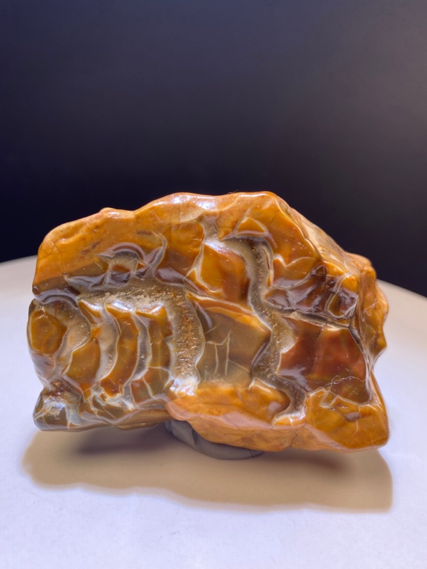 阿拉善戈壁牙石，天然原石，完整