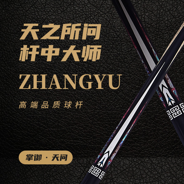 掌御天问小头杆高性价比天问掌御台球杆