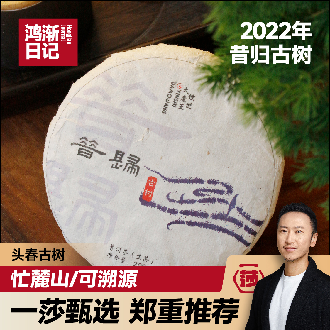 《鸿渐日记》2022年云南昔归古树茶大叶种优选普洱茶生茶品质好茶
