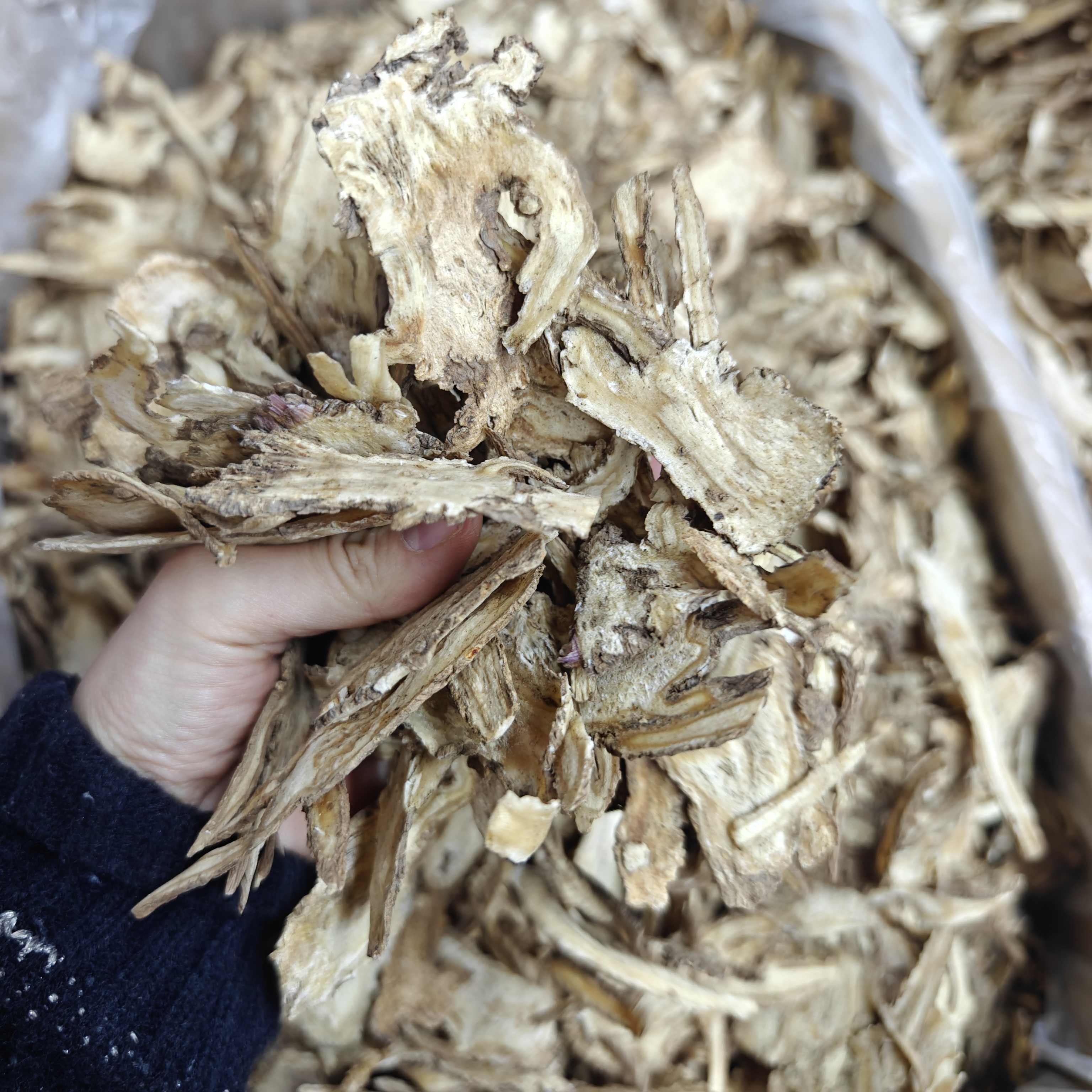 当归片 全片大片500克 250g产地甘肃岷县