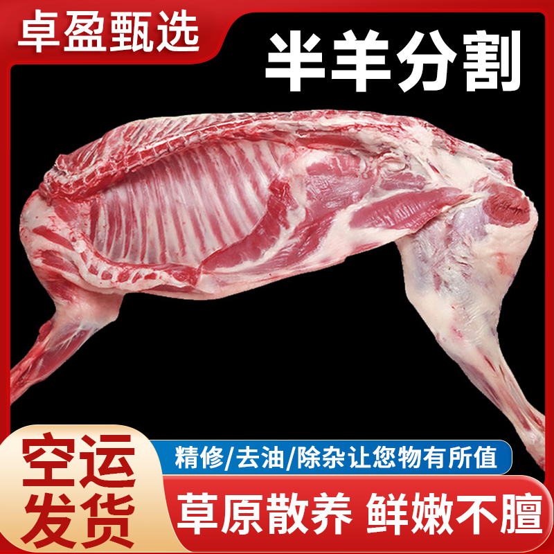 卓盈精选盐池滩羊肉 羊排 羊腿 羊肉串 半只羊 腿排手把肉 羊羔肉