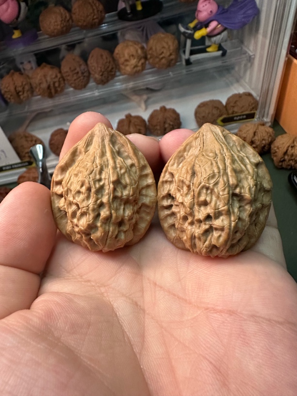 野生核桃一叶野核