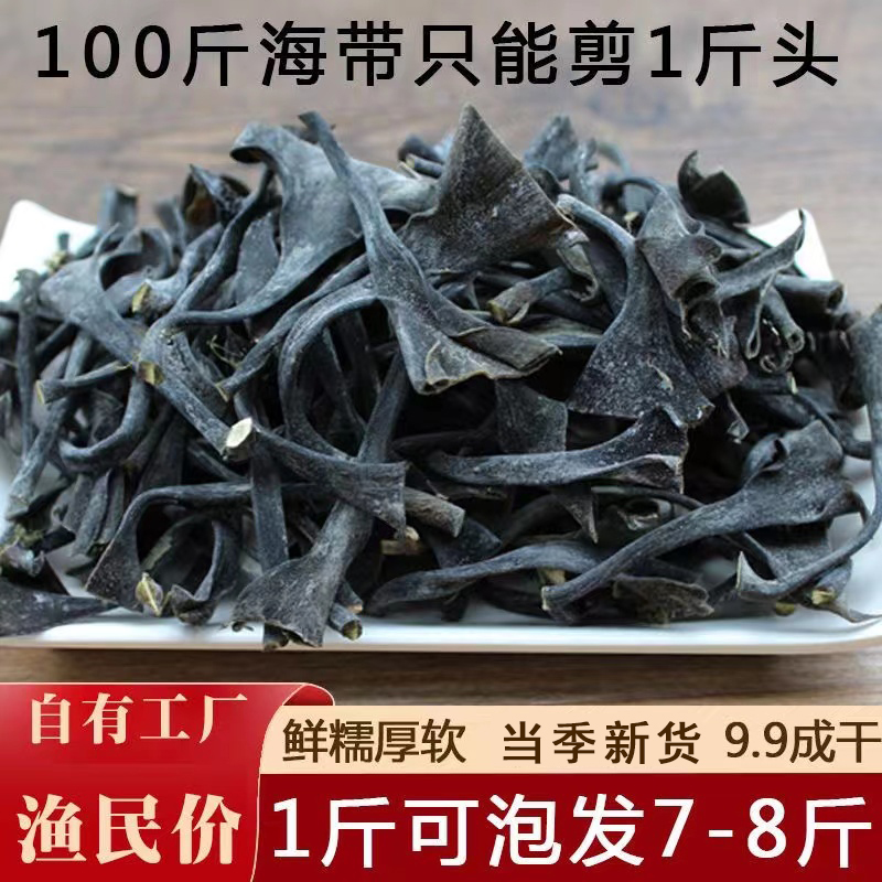 日晒干海带头厚霞浦海带根高泡发率农产品食用干净 图片 1