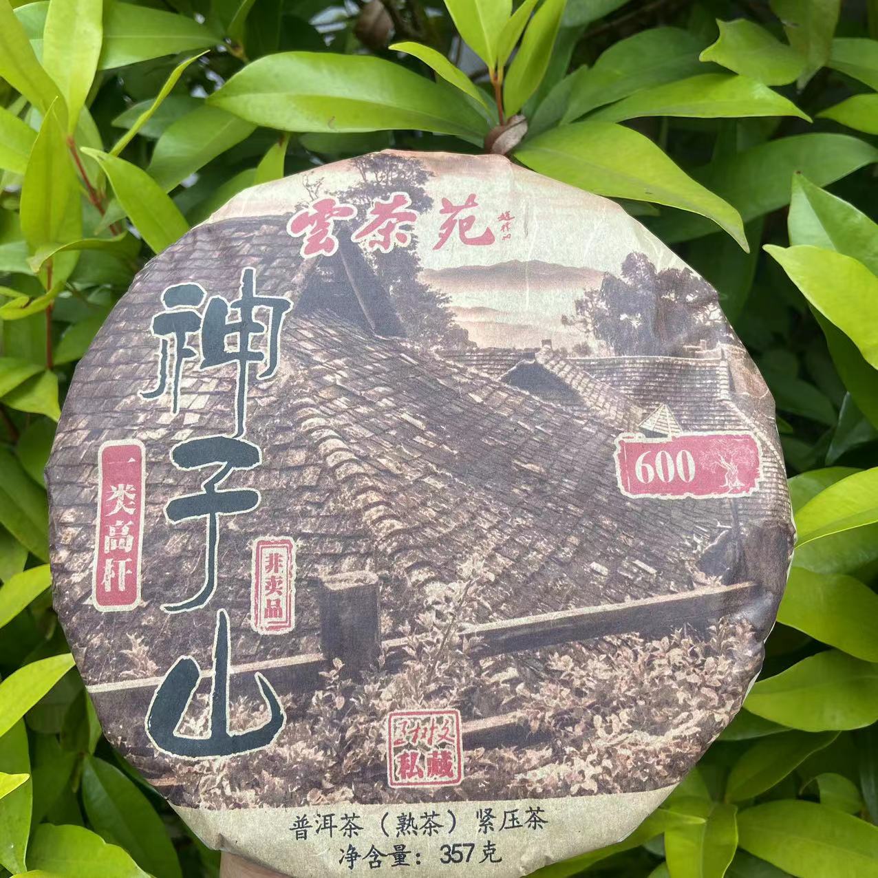 雨腾古茶 雲茶苑WSW私藏神子山一类高杆古树普洱茶357g/饼 熟茶