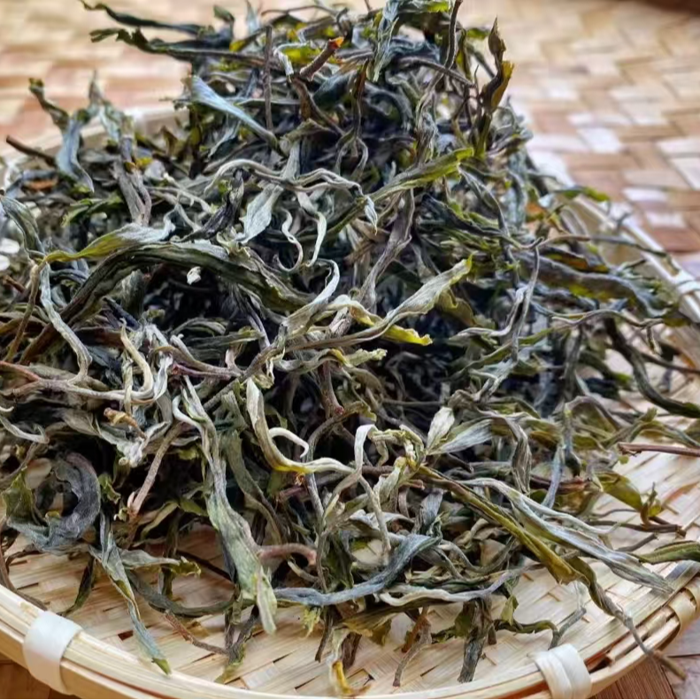 2024年 —头春头采正气塘古树散茶