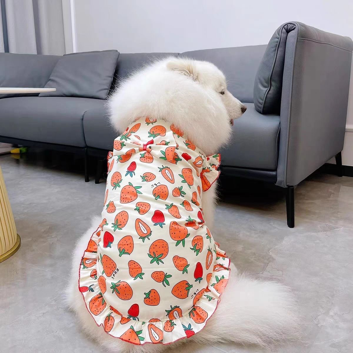 春夏薄款拉布拉多狗狗宠物狗衣服金毛萨摩耶边牧大狗大型犬背心潮