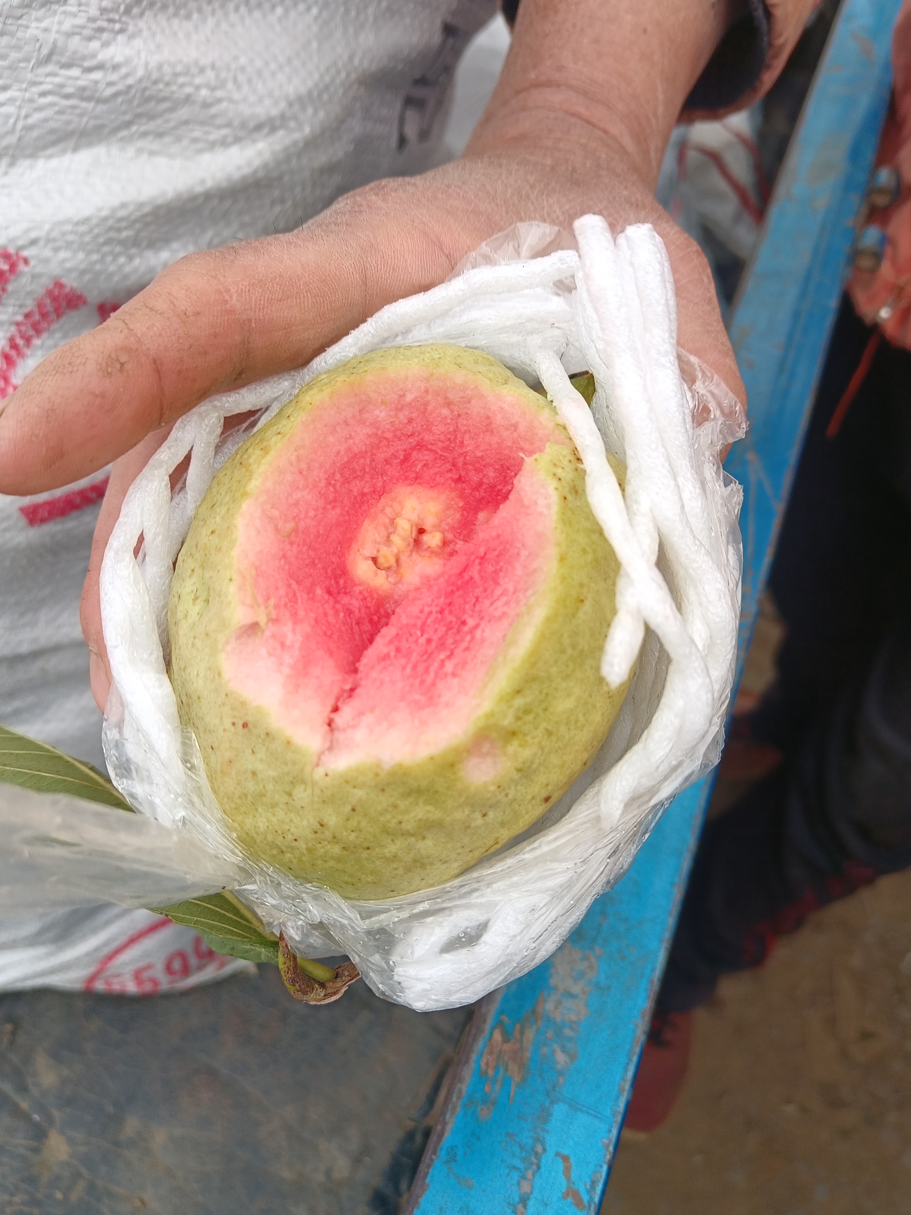 广西产地红心巴乐，还有白心巴乐，