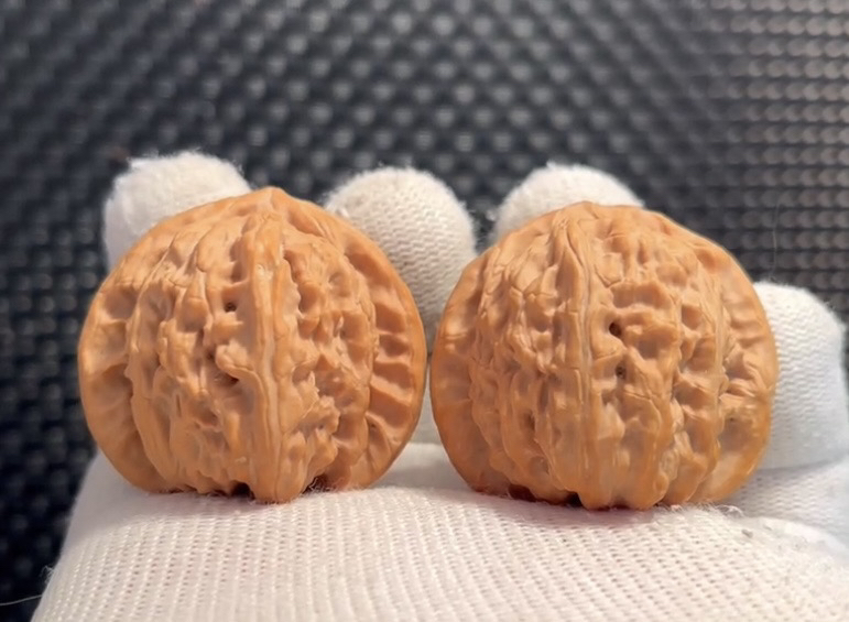 盘山核桃，直播间专属