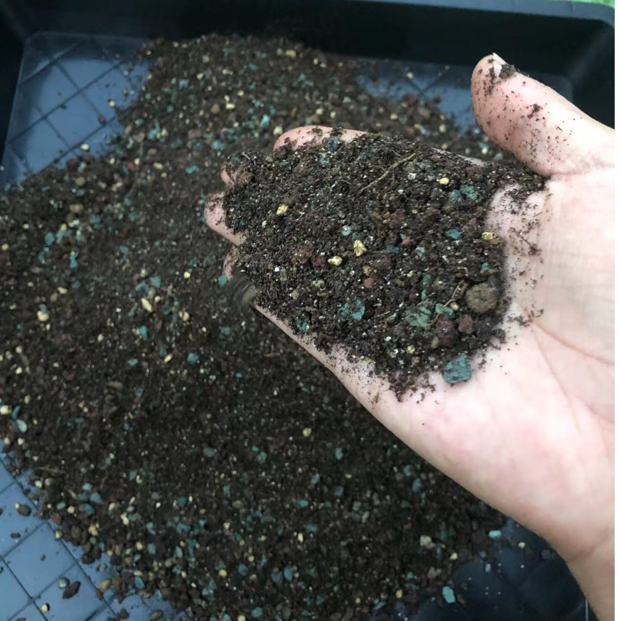 云瑞多肉70%颗粒土5斤 【控型控色发根快】