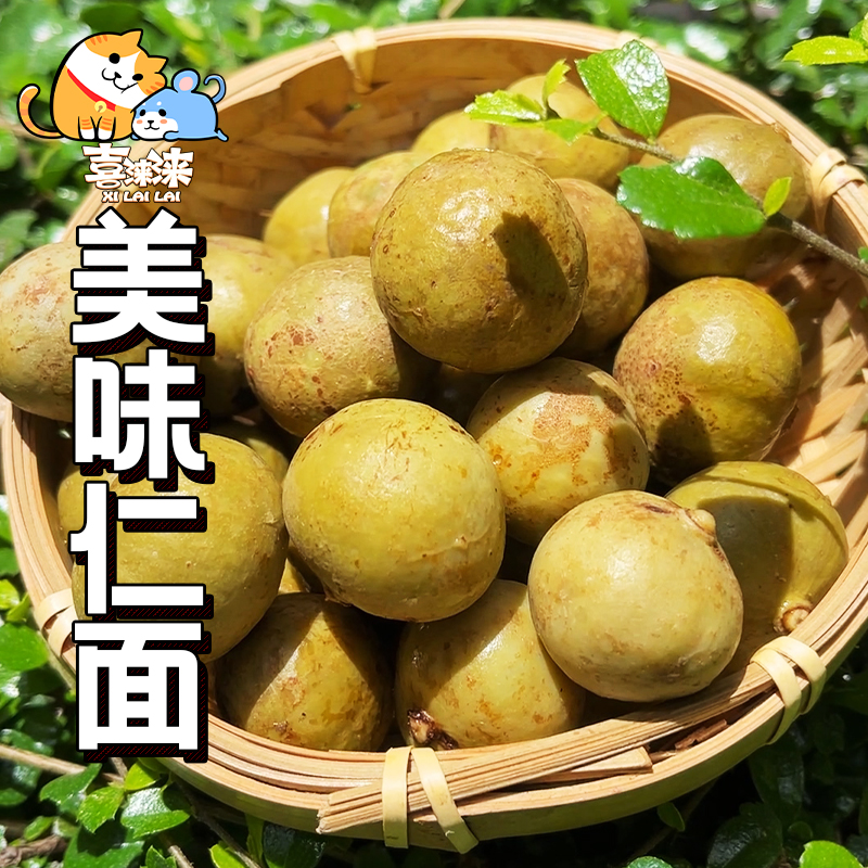 广东特产甜酸脆仁面果牛念果银莲果人面子即食凉果散装零食250g