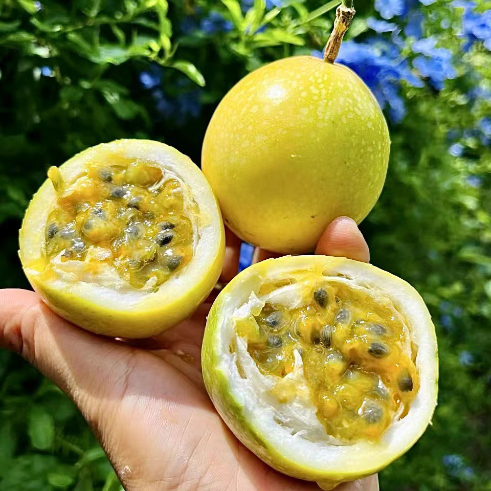 【阿蔡甄选】钦蜜九号百香果多汁蜜甜籽微酸皱皮更甜3斤起 顺丰包邮