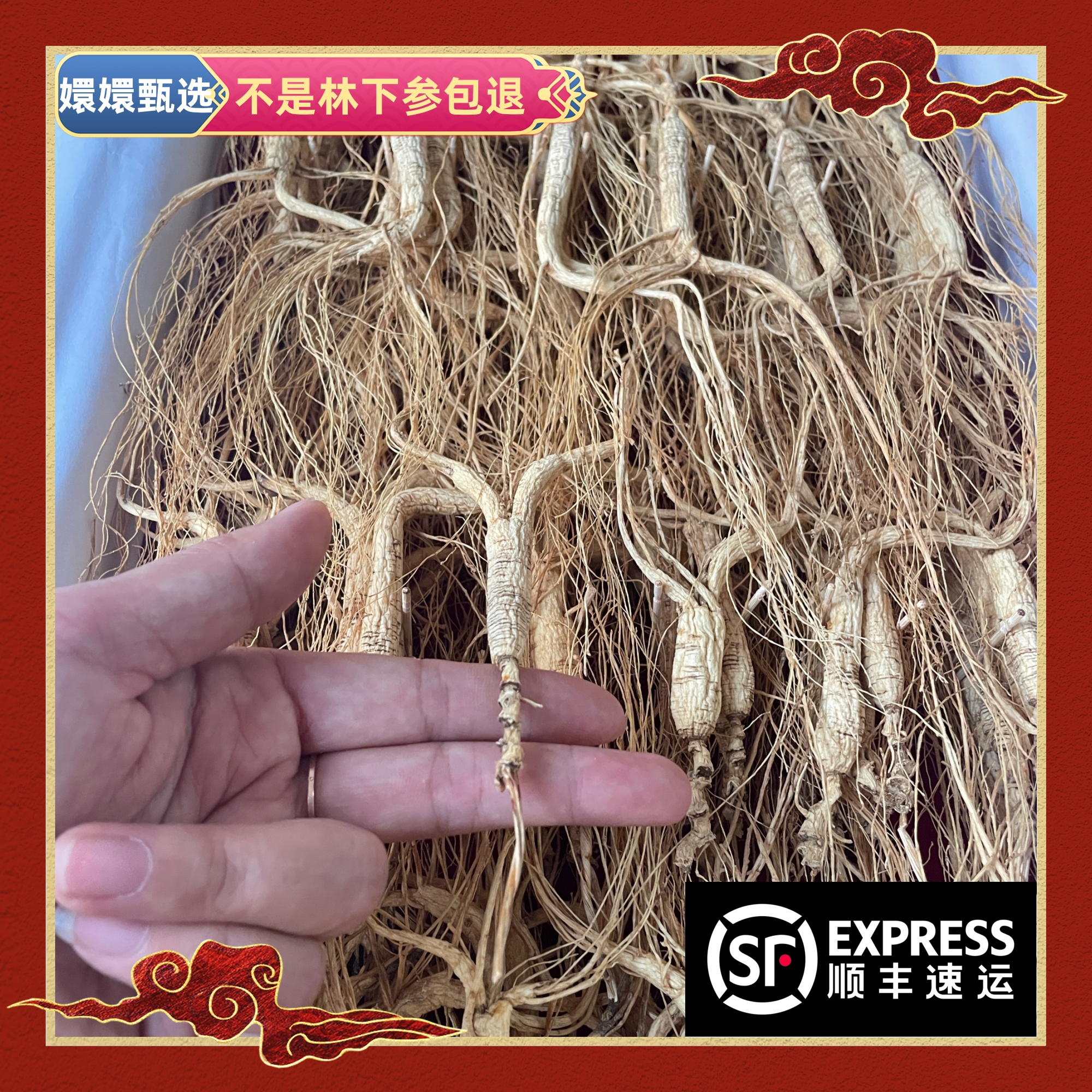 【嬛嬛甄选】长白山人参顺丰包邮 四.九 一支
