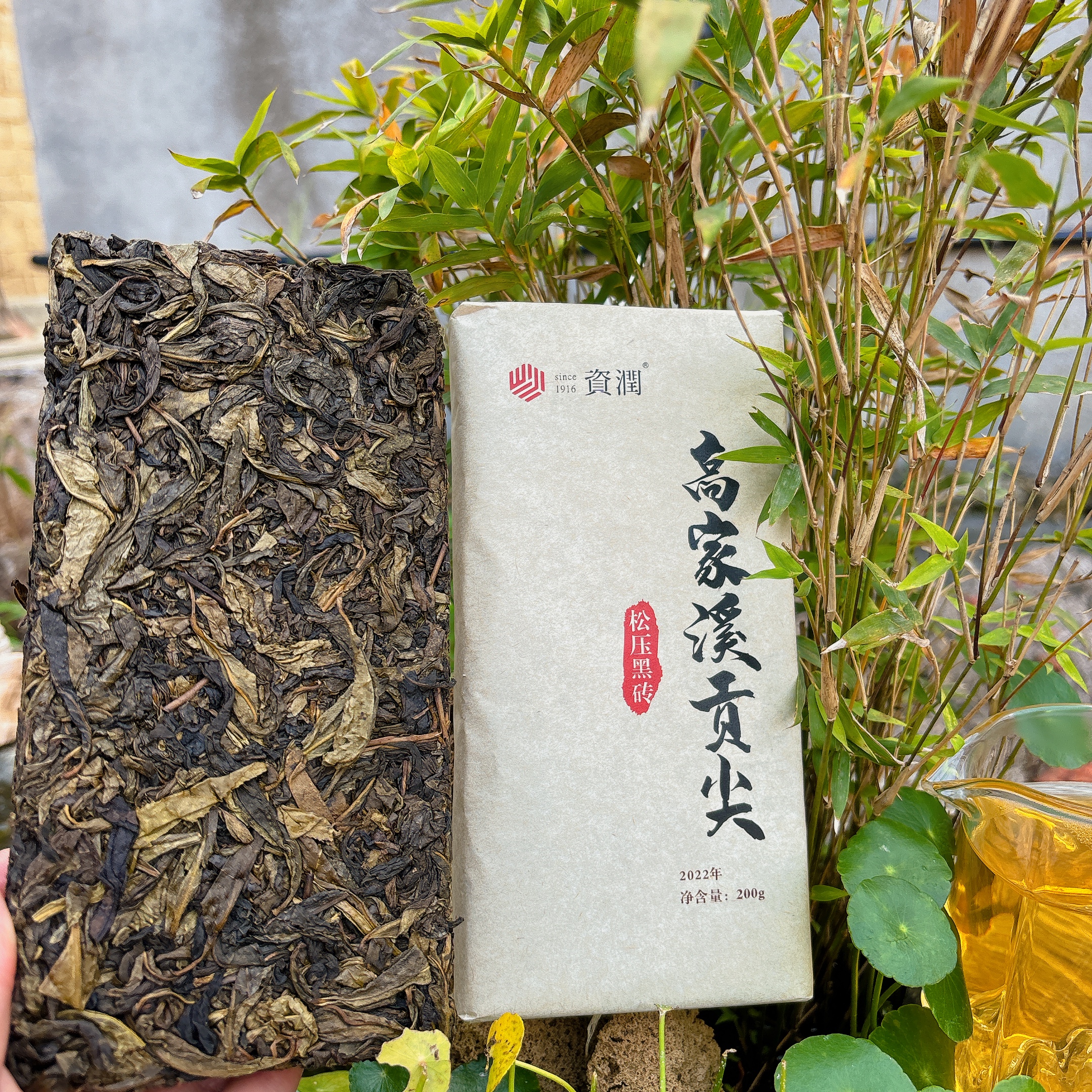 zirun/资润2022年高家溪贡尖松压黑砖200g