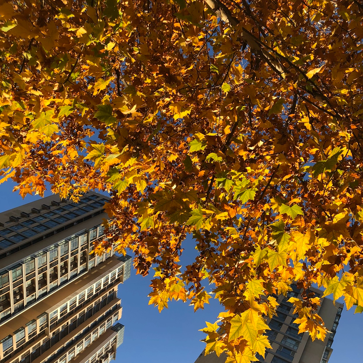 女装品牌气质链接